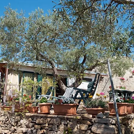 Hébergement de vacances Pajara Chicca