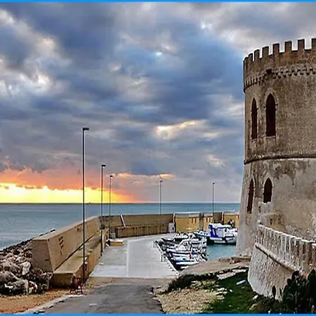 Pajara Chicca * Torre Vado